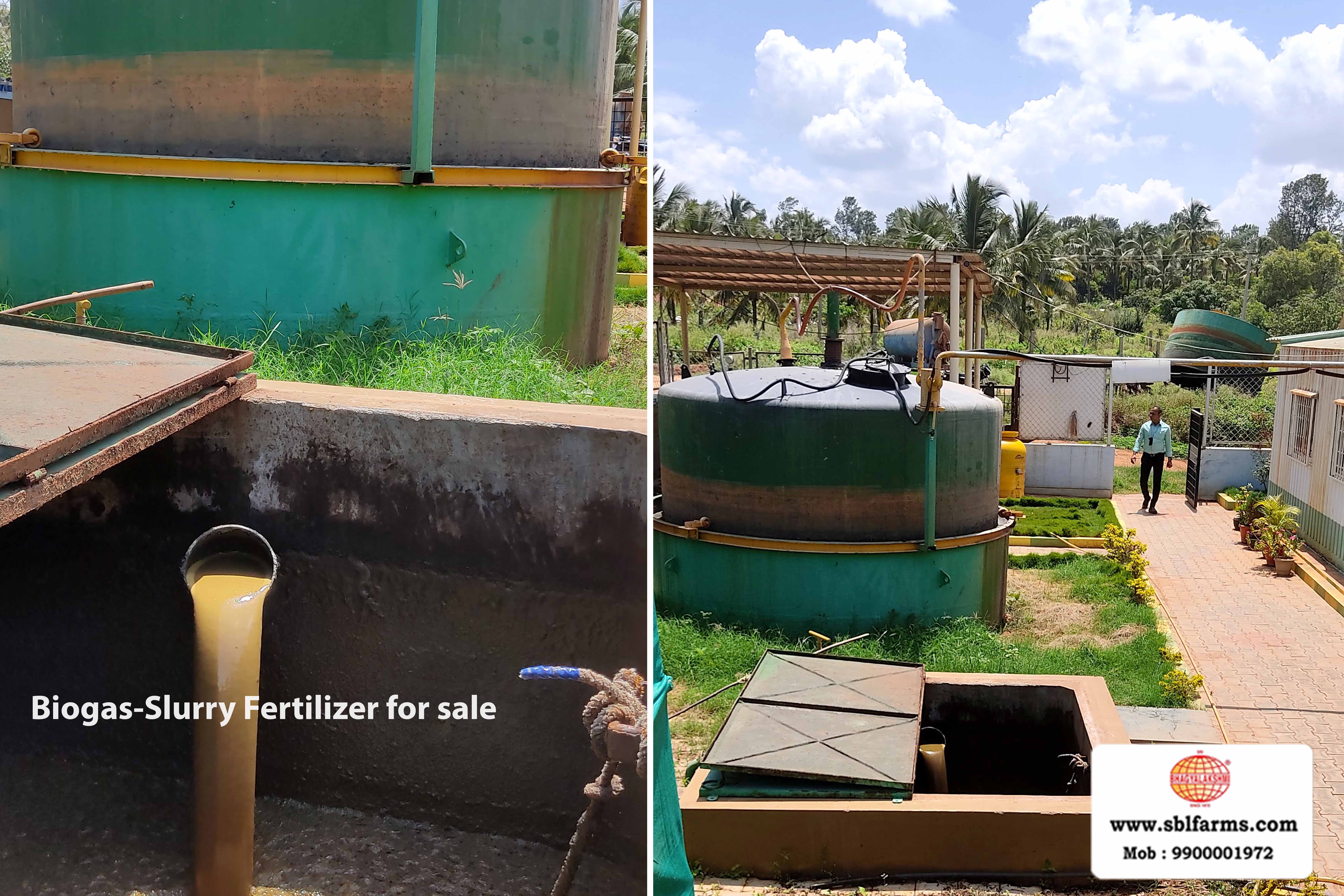 Sri Bhagyalakshmi Farms Bangalore - biogas-slurry fertilizer | Slurry Fertilizer for Sale  |  Fertilizer for vegetable better growth | bioslurry manufacturers, suppliers & exporters in Bangalore|Bio slurry for sale in bangalore |  Sri Bhagyalakshmi Farms fertilizer slurry Bangalore | Bioslurry a supreme fertiliser | slurry fertilizer near me bangalore | slurry fertilizer near me bangalore contact number | manure fertilizer for sale in bangalore | Organic Manure for sale | biogas slurry uses | biogas slurry composition | organic fertilizer price per kg | biogas slurry meaning | organic fertilizer price in india | organic fertilizer price per ton | Sri Bhagyalakshmi Farms, Cow Dung Manure Organic Fertilizer Suppliers in Bangalore